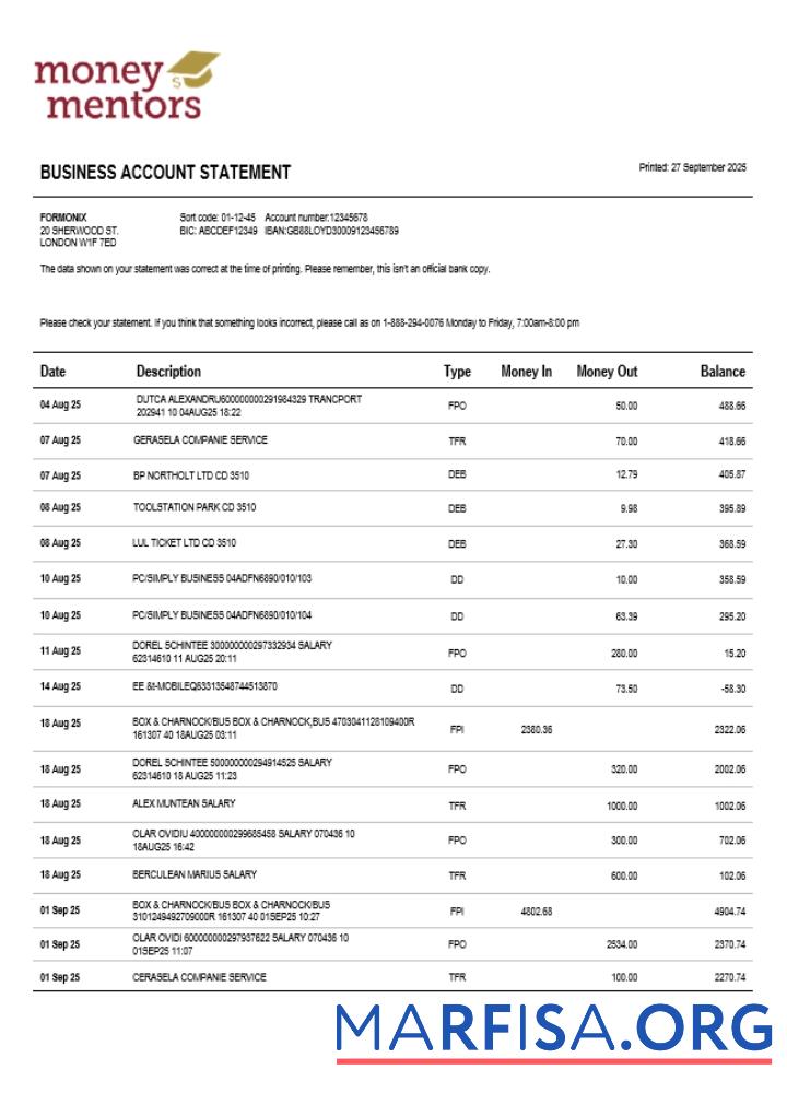 Realistic Money Mentors company checking account statement Word and PDF template (1)